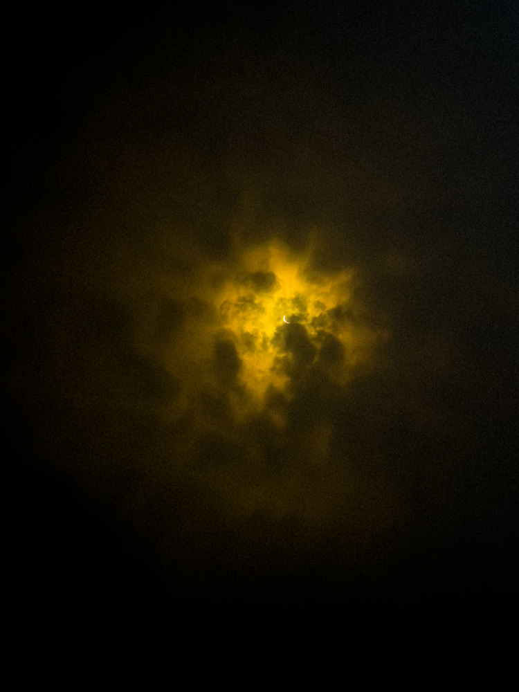 Photograph by Jake Cella, 2024-04-08
