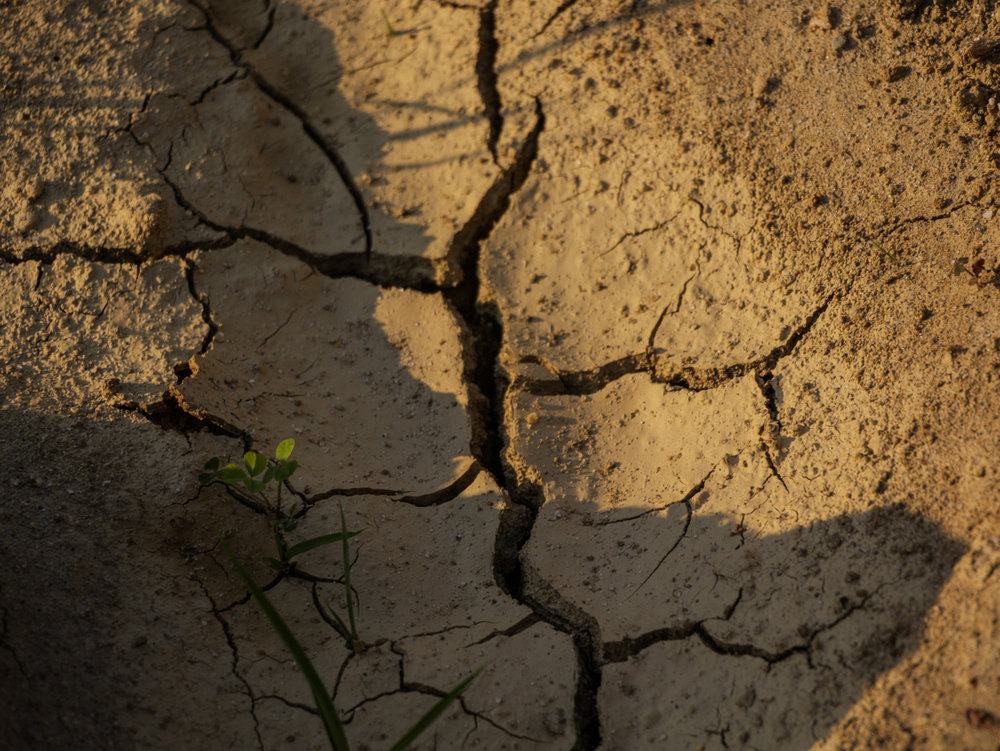 Photograph by Jake Cella, 2025-06-11