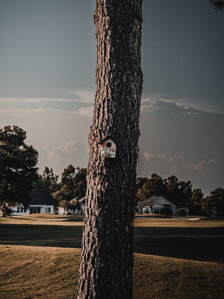 Photograph by Jake Cella, 2025-06-27