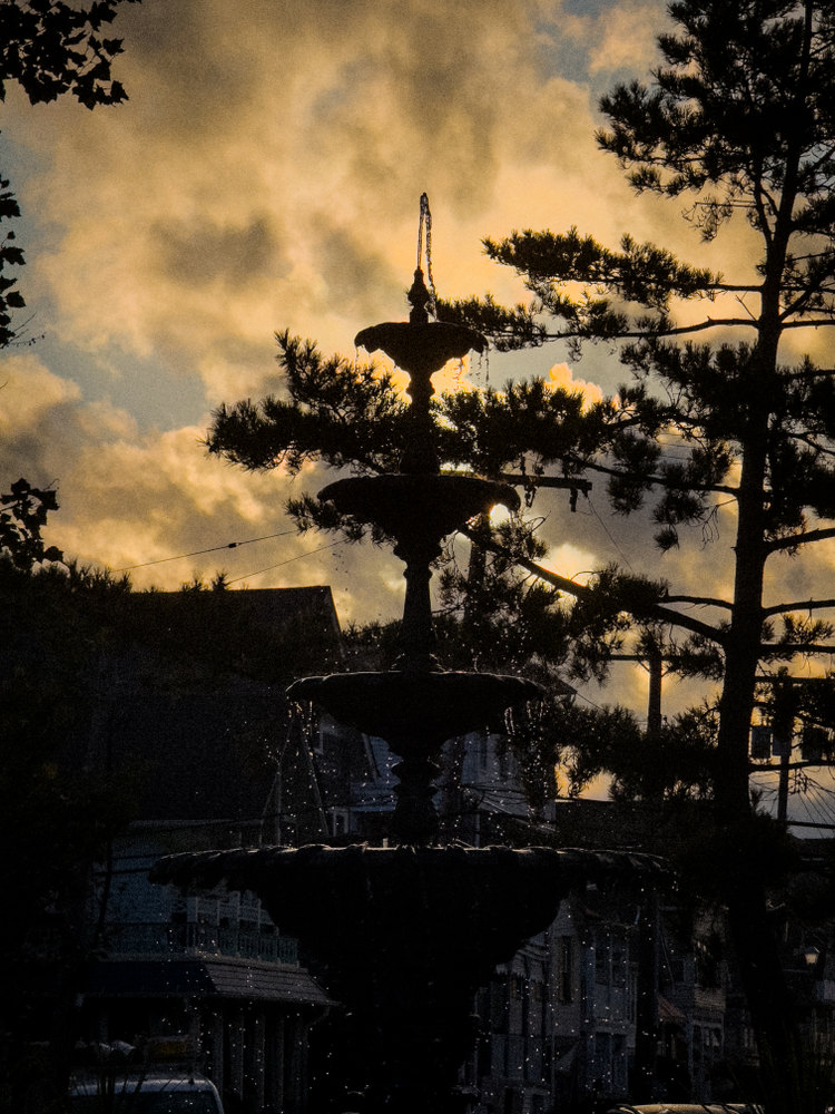 Photograph by Jake Cella, 2024-09-15