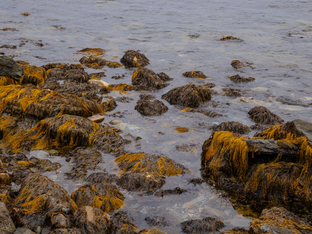 Photograph by Jake Cella, 2025-04-15