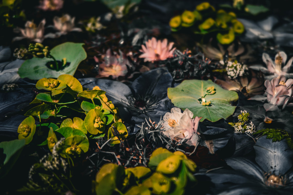 Photograph by Jake Cella, 2026-05-10