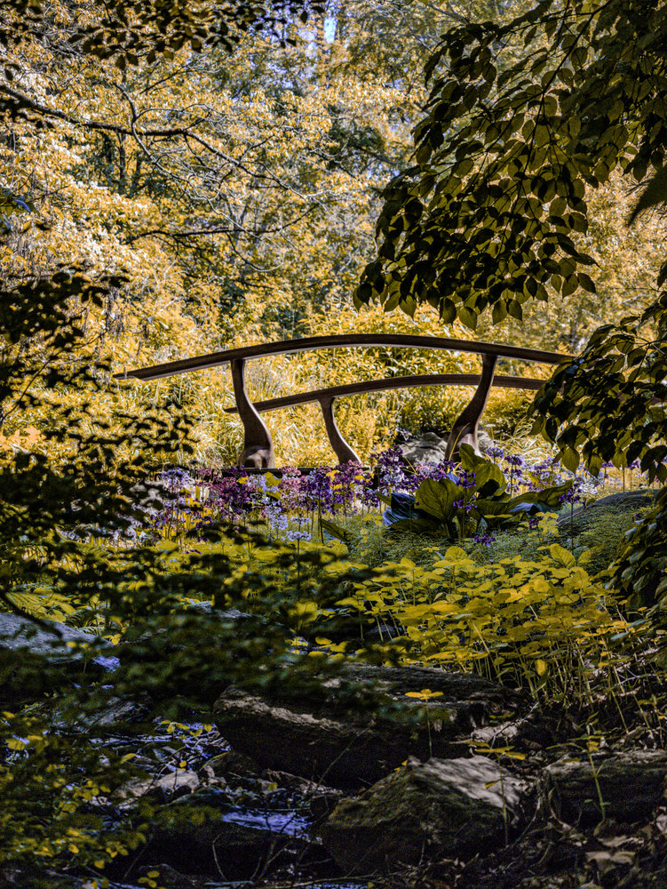 Photograph by Jake Cella, 2026-05-10