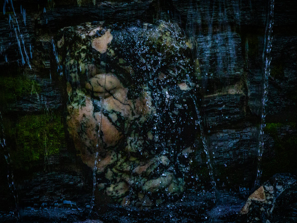 Photograph by Jake Cella, 2026-05-10