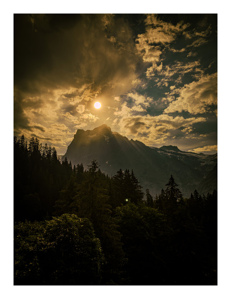 Photograph by Jake Cella, 2026-06-28