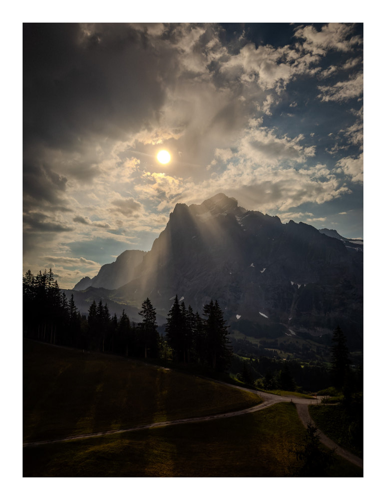 Photograph by Jake Cella, 2026-06-28
