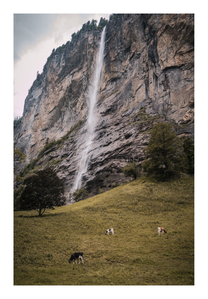 Photograph by Jake Cella, 2026-06-29