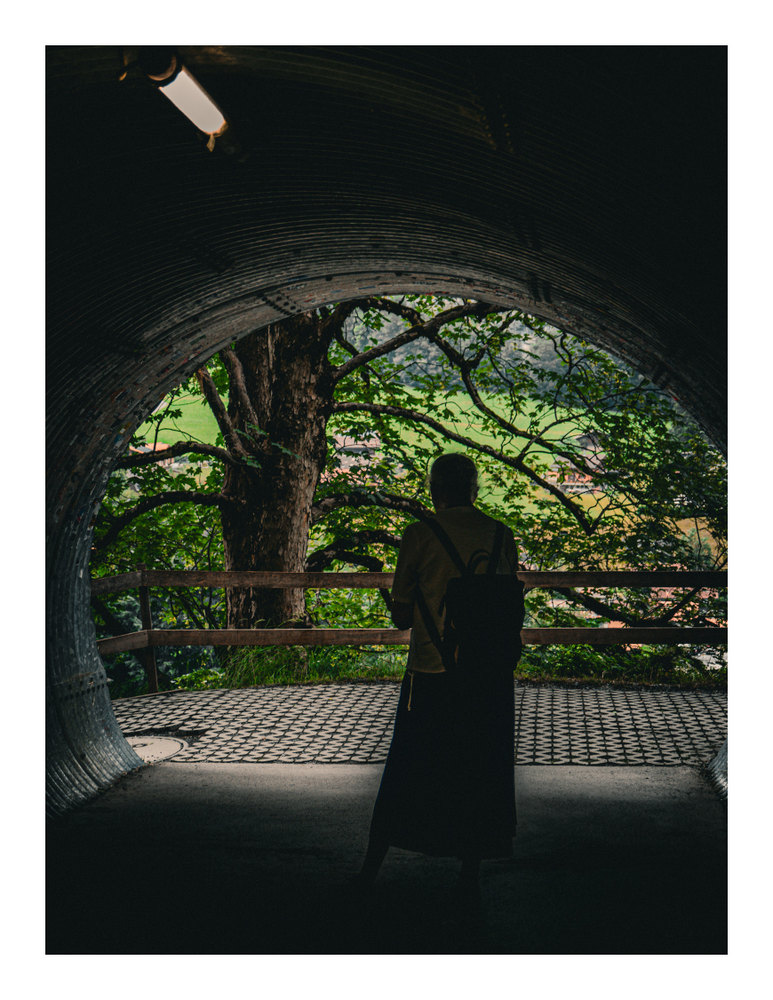 Photograph by Jake Cella, 2026-06-29