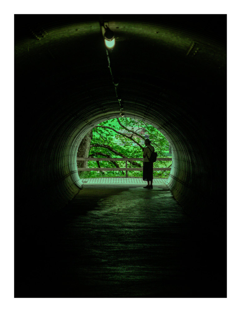Photograph by Jake Cella, 2026-06-29