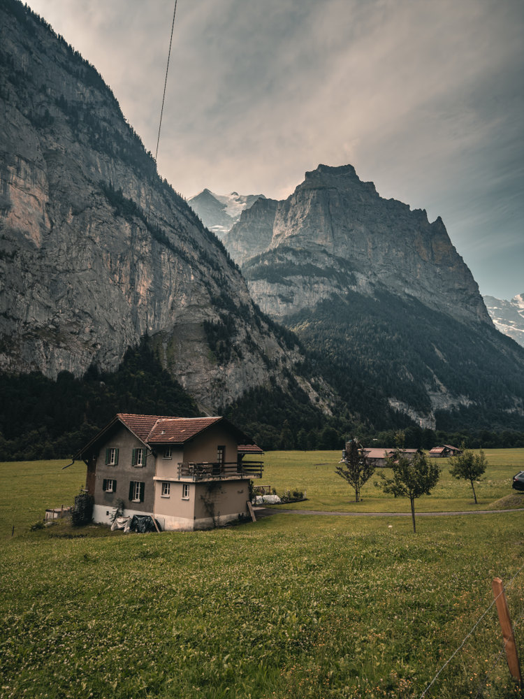 Photograph by Jake Cella, 2026-06-29