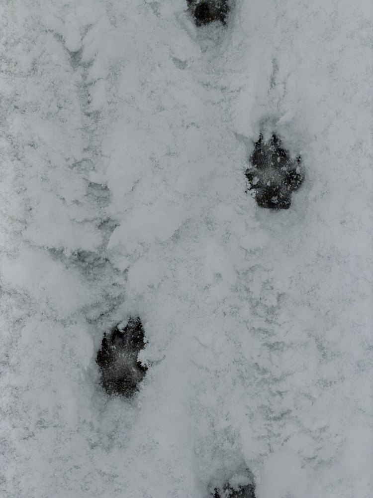 Photograph by Jake Cella, 2025-12-14