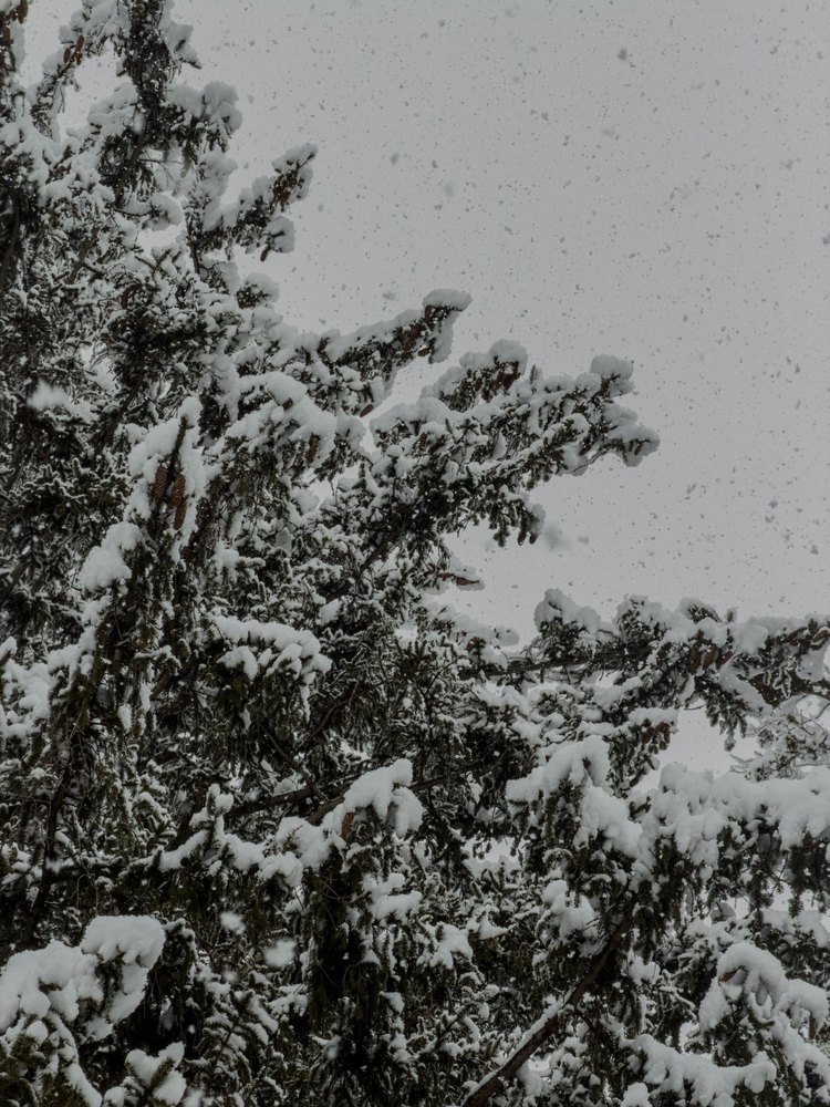 Photograph by Jake Cella, 2025-12-14