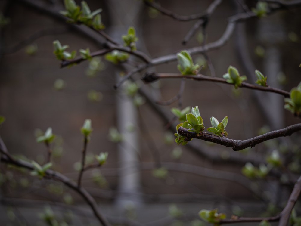 Photograph by Jake Cella, 2026-04-04