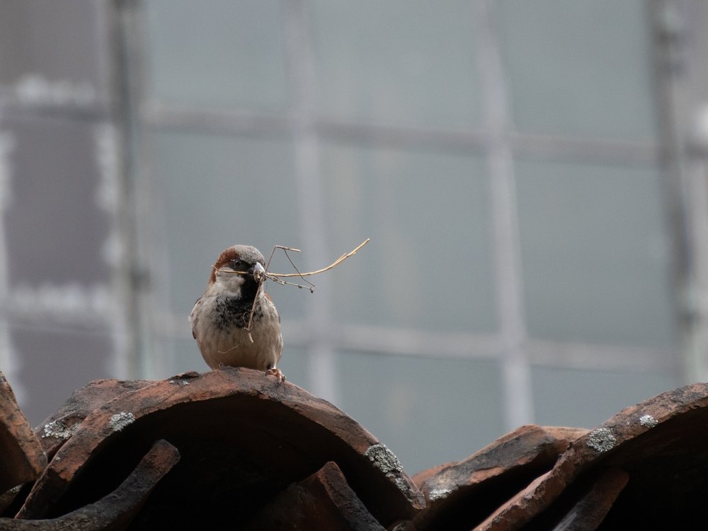 Photograph by Jake Cella, 2026-04-04