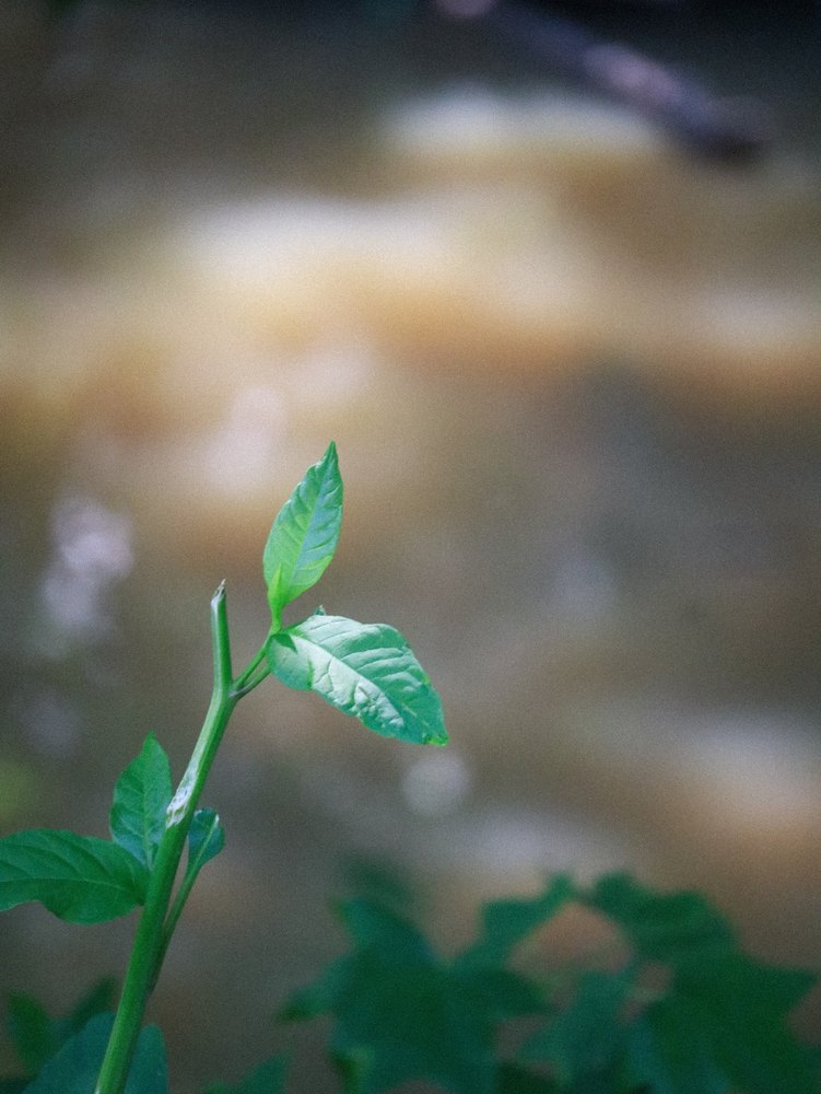 Photograph by Jake Cella, 2024-06-18