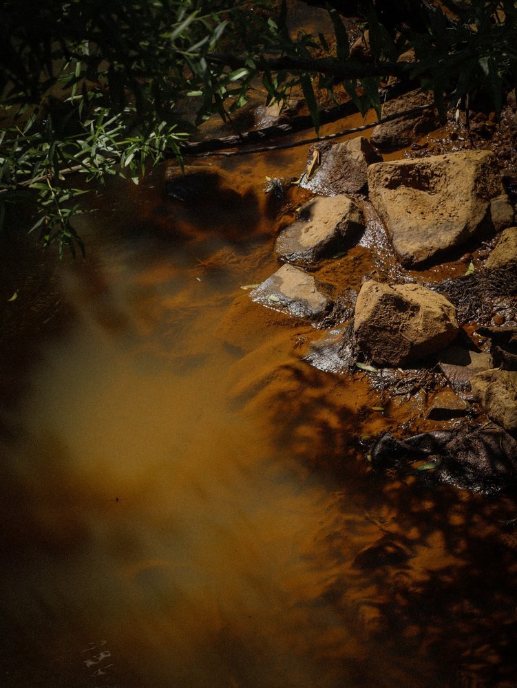 Photograph by Jake Cella, 2024-06-18