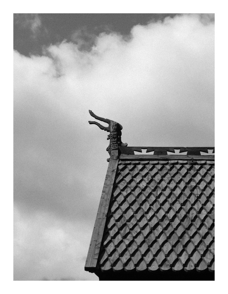 Photograph by Jake Cella, 2024-06-30
