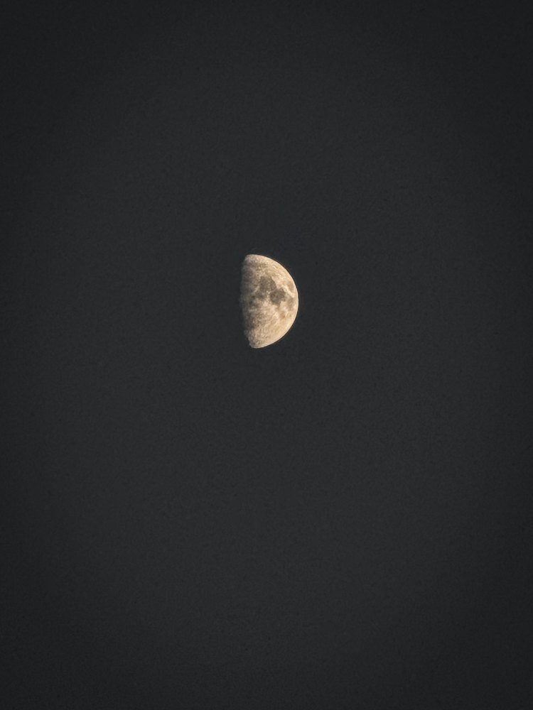 Photograph by Jake Cella, 2024-10-11