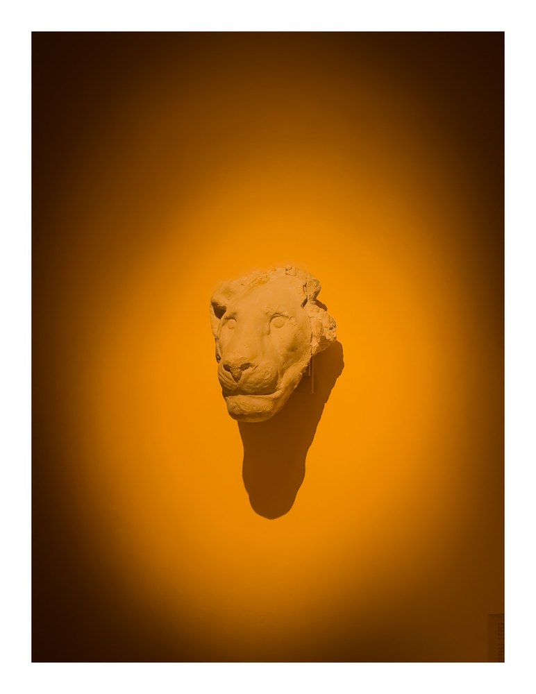 Photograph by Jake Cella, 2025-02-01