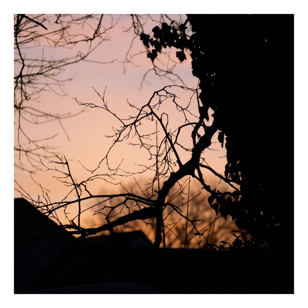 Photograph by Jake Cella, 2025-02-18