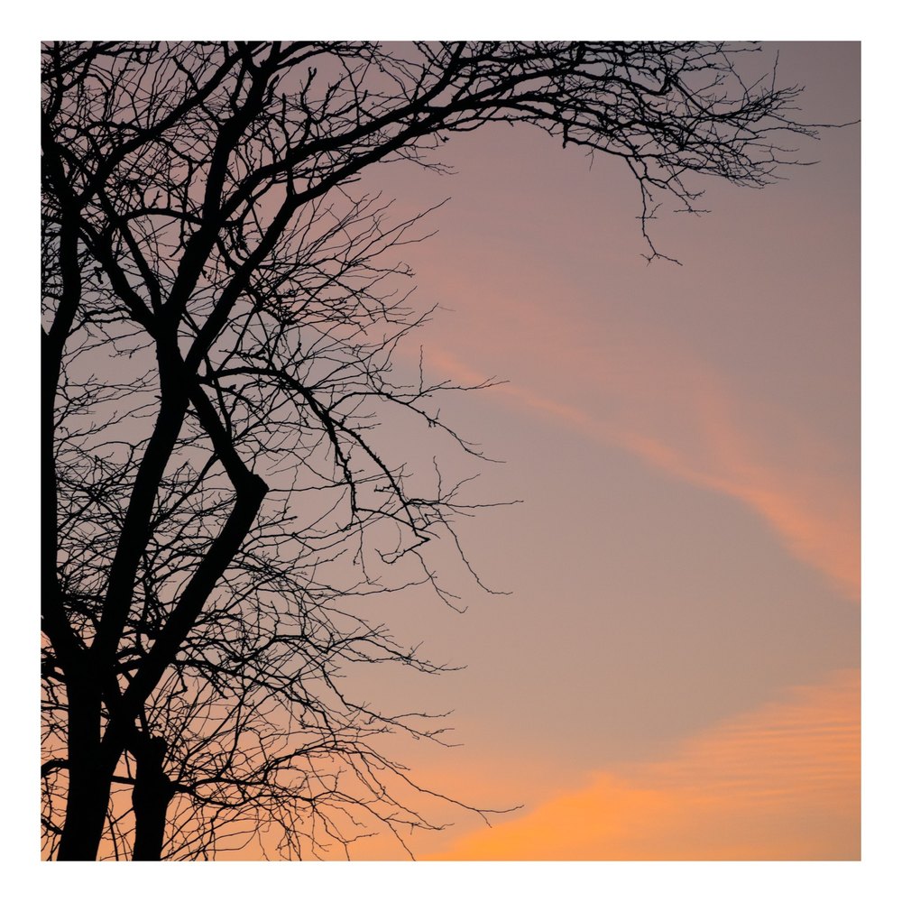 Photograph by Jake Cella, 2025-02-18