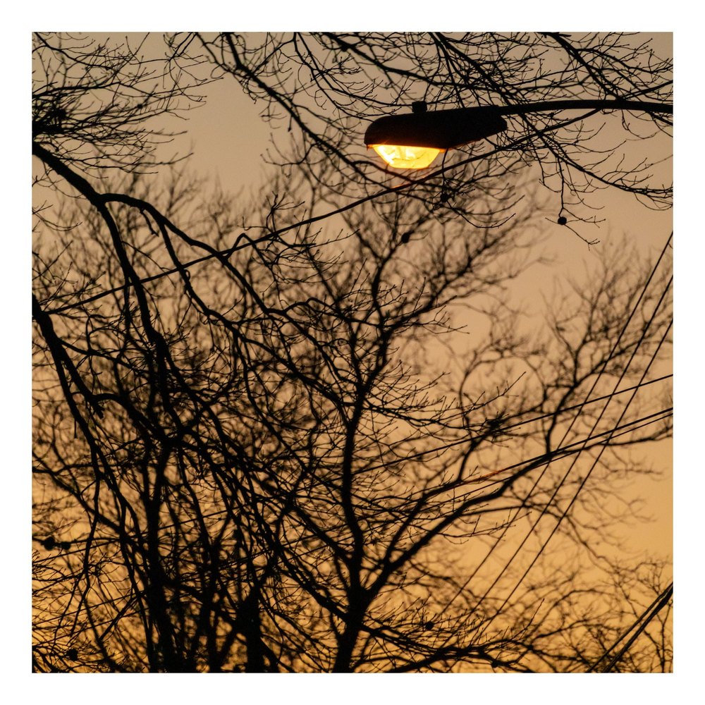 Photograph by Jake Cella, 2025-02-18