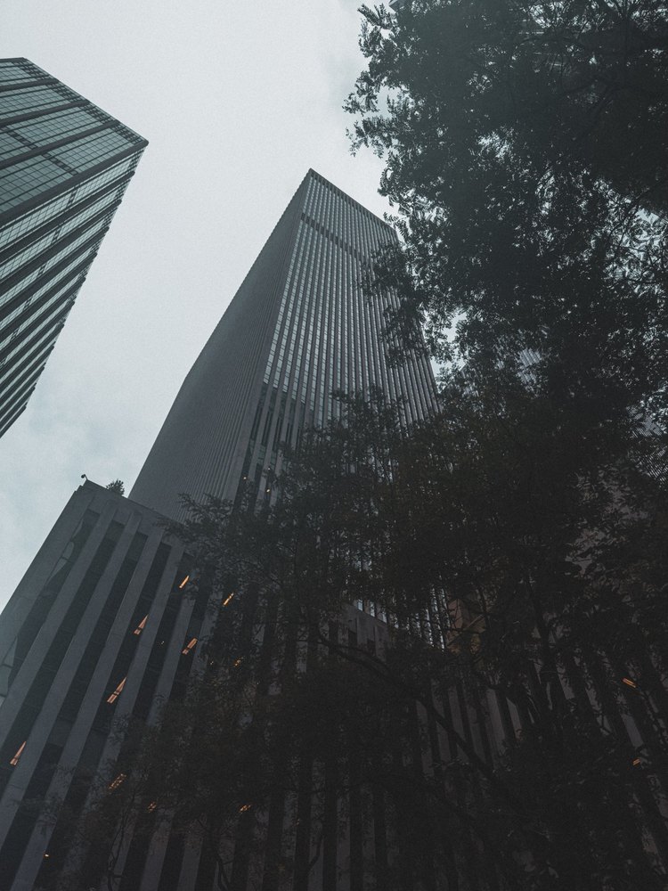 Photograph by Jake Cella, 2025-08-13