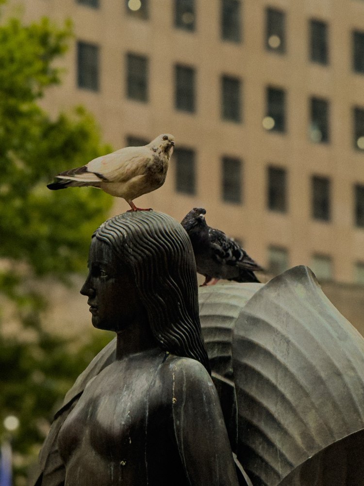 Photograph by Jake Cella, 2025-08-13