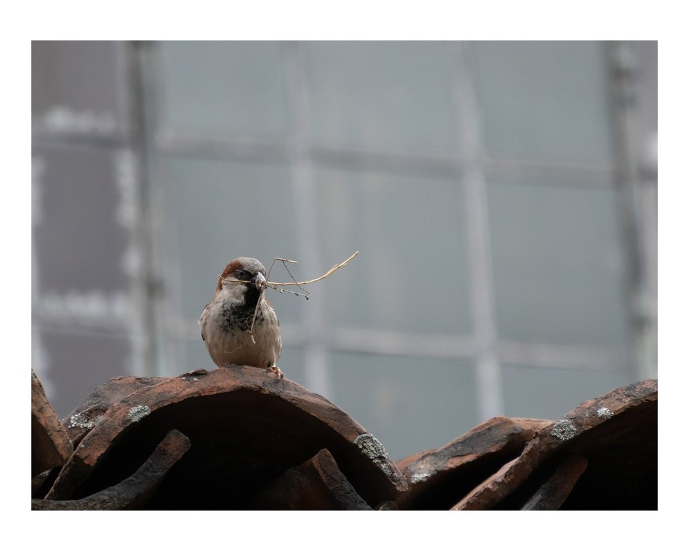 Photograph by Jake Cella, 2026-04-04