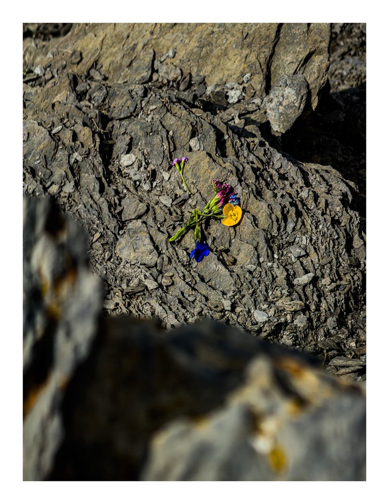 Photograph by Jake Cella, 2026-06-28