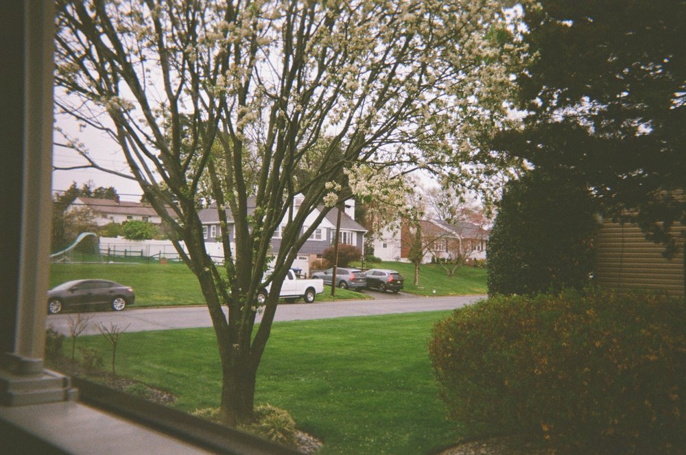 Photograph by Jake Cella