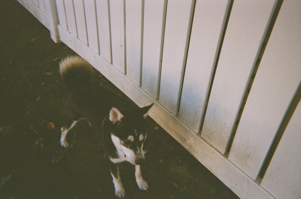 Photograph by Jake Cella